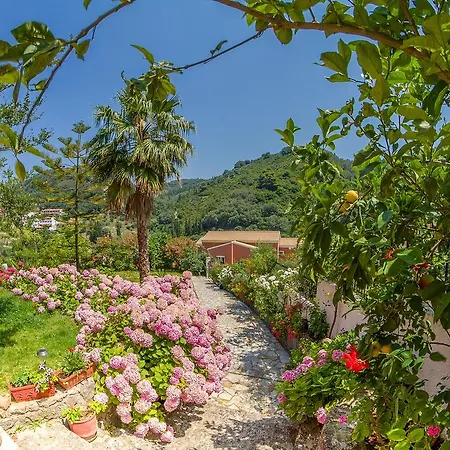 Evergreen Agios Gordios (Corfu)