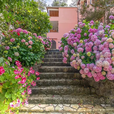 Evergreen Appartement