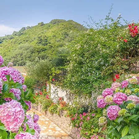 Evergreen Agios Gordios (Corfu)
